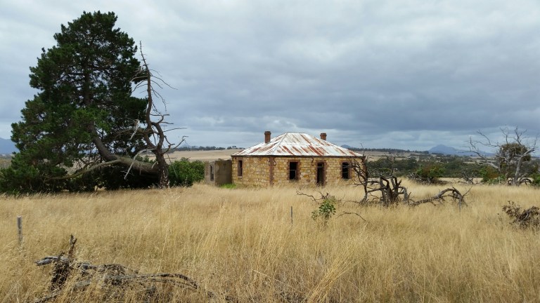 20151207_124207_resized