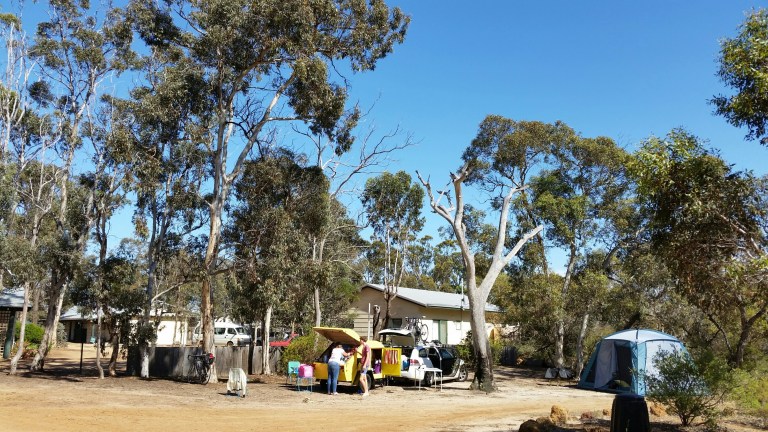 20151208_085042_resized