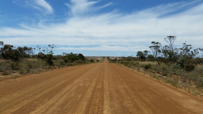 20151210_131240_resized