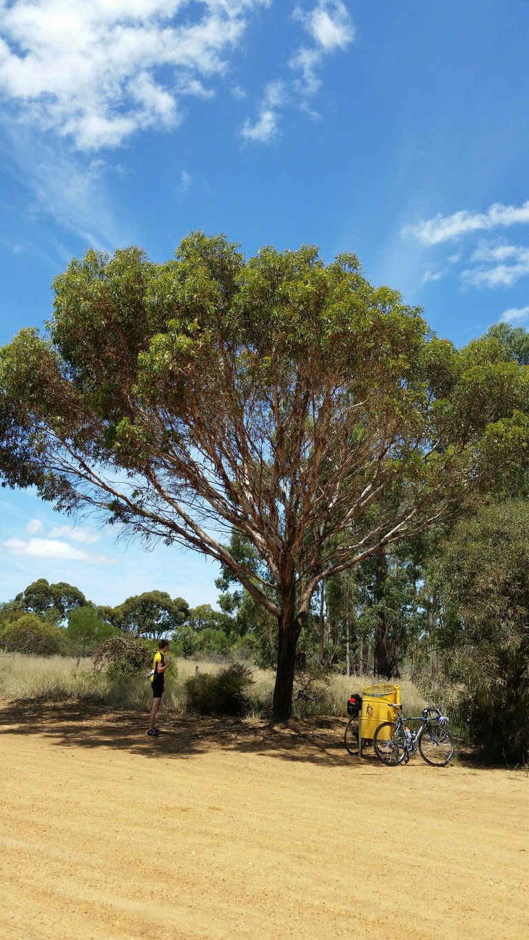 20151211_121859_resized